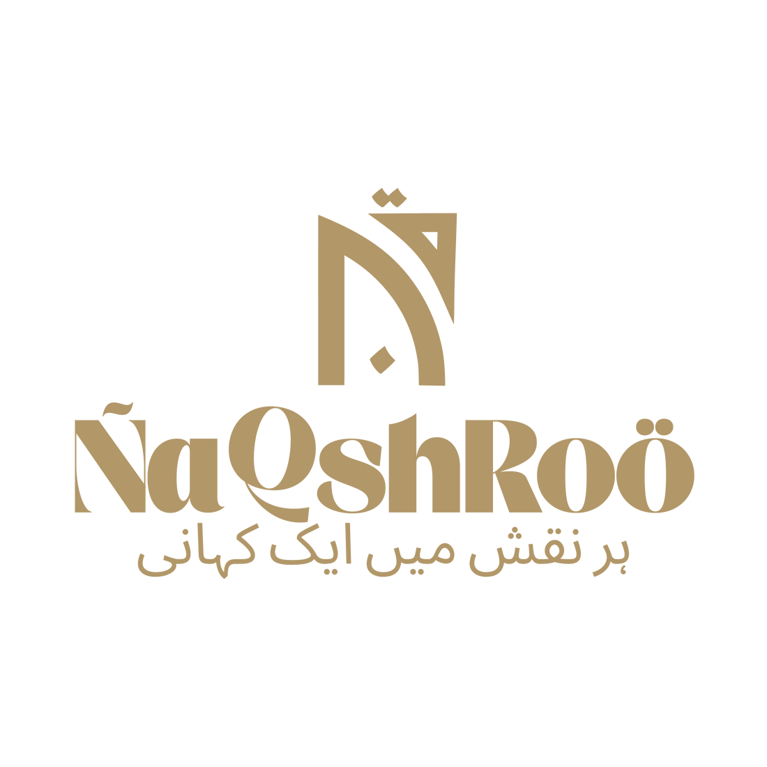 ✨The Story Behind NaqshRoo: Reviving the Art of Khussa